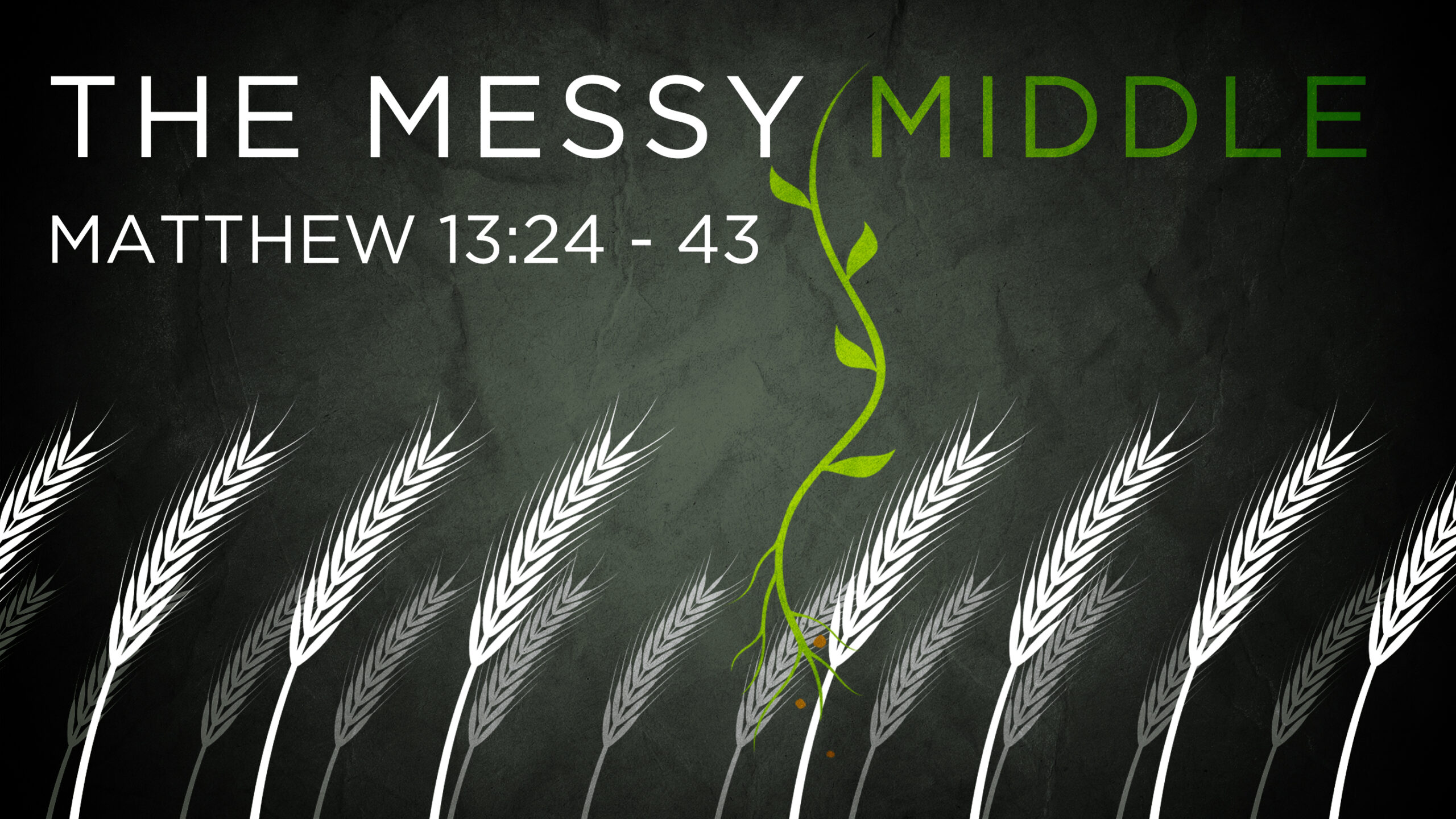 The Messy Middle (THRIVE)